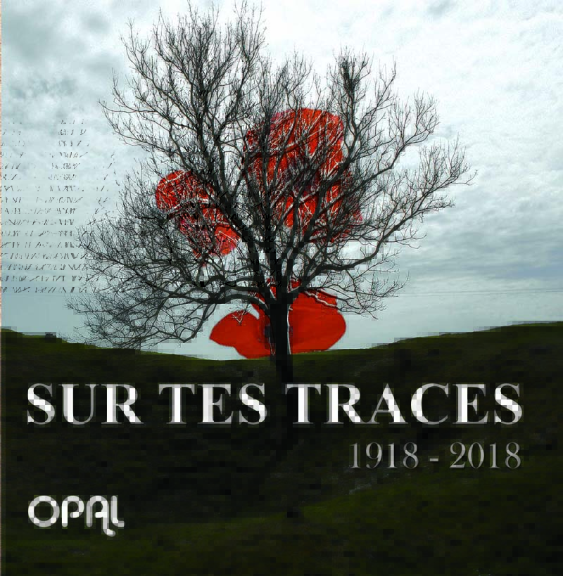 Sur tes traces breve asso