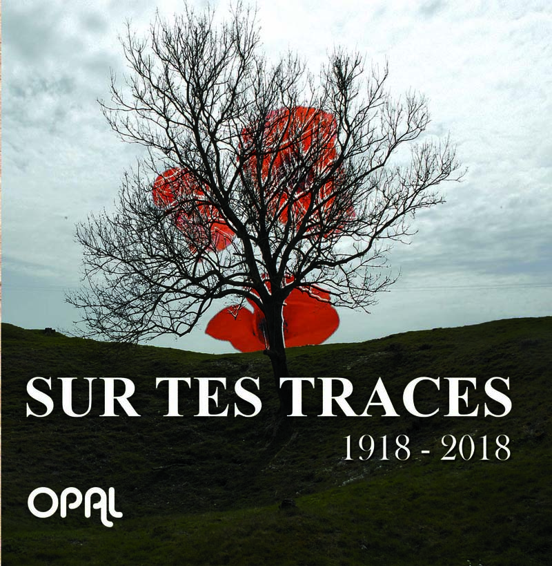 Sur tes traces breve asso