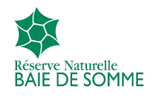 Logo partenaire
