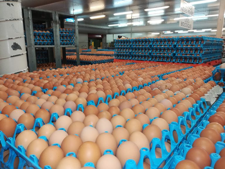 Aides agricoles et agroalimentaires aux investissements  Conseil