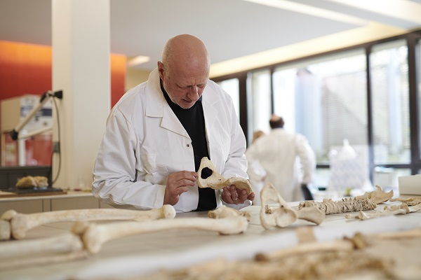 Centre archéologique départemental
