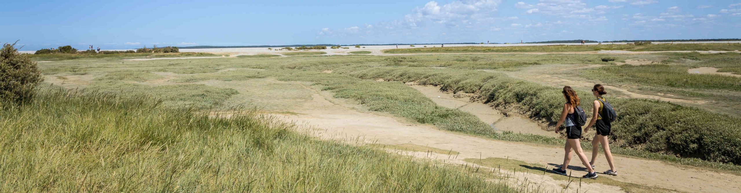 bandeau Conseil départemental de la Somme