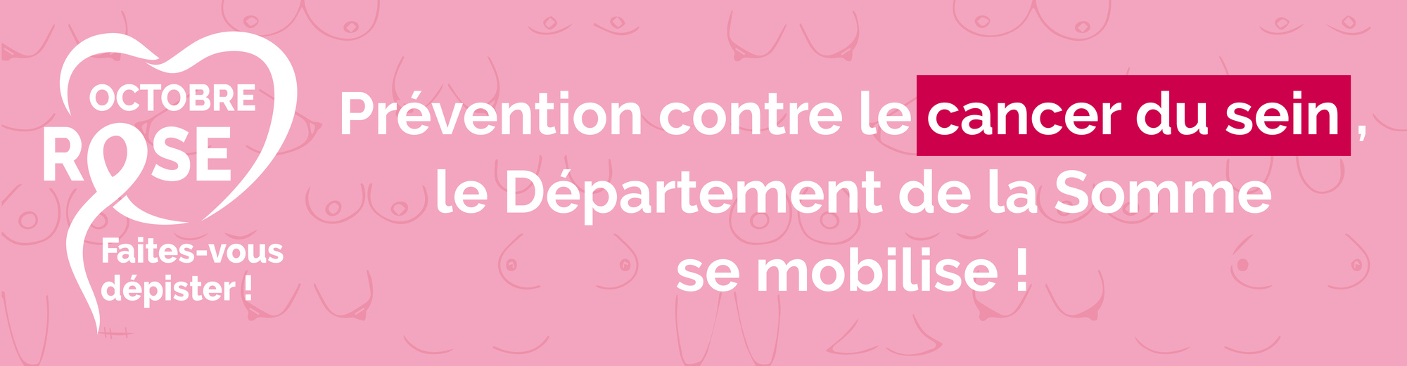bandeau Conseil départemental de la Somme