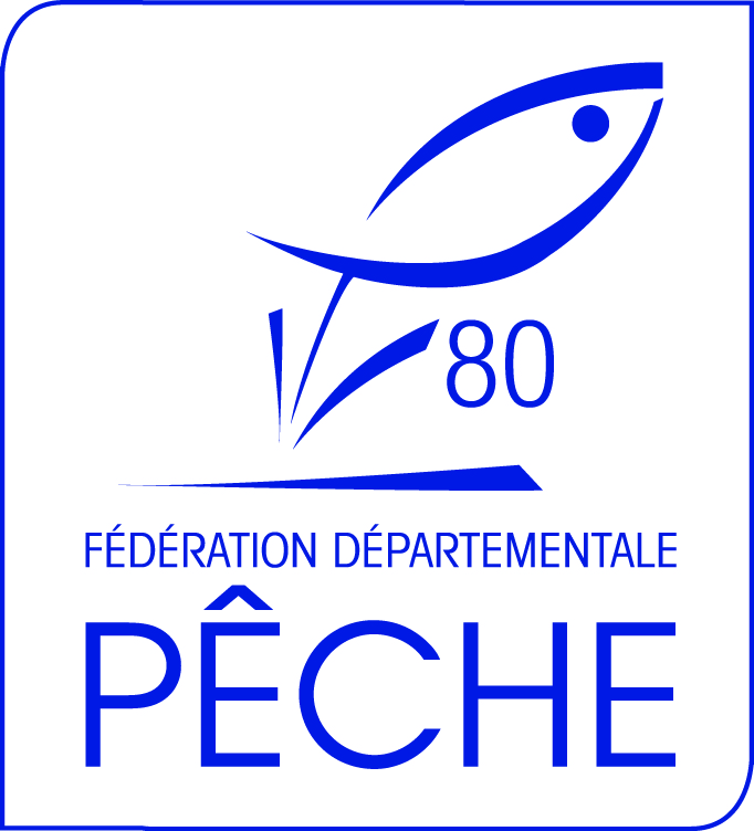 Logo structure